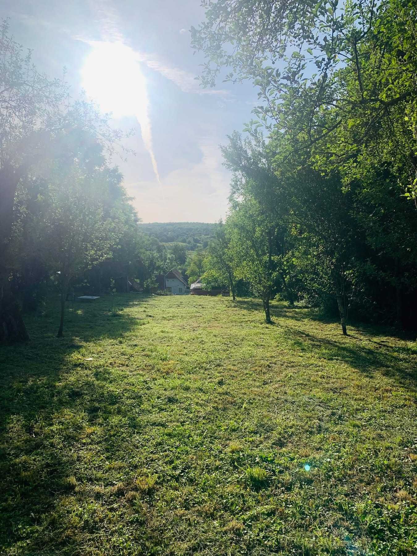 Casa de vanzare Muntii Apuseni