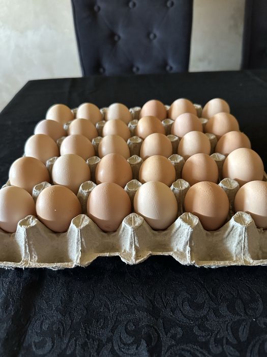 Oua “de tara” proaspete