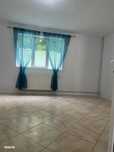 Spatiu comercial str.milcov(rovine)