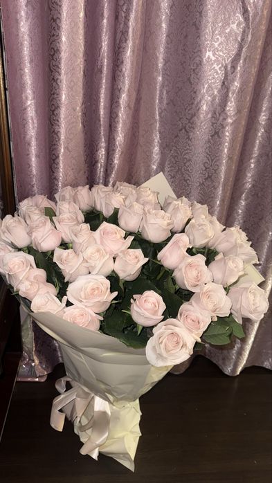 51 роза свежие длинные