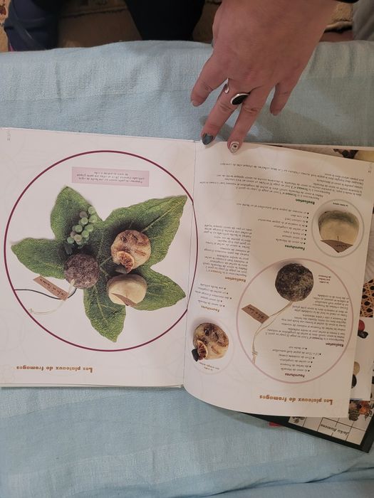 Vând carte DIY Săpunuri fantezie