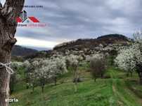 Teren intravilan de vanzare Inuri Jud Alba