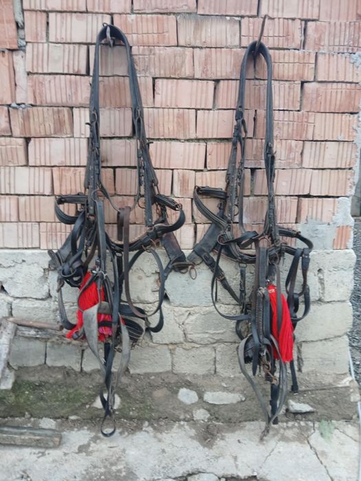 Vand caruta hamuri si o manza de 1 an jumate