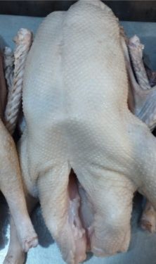 Гуси, порода Линда.