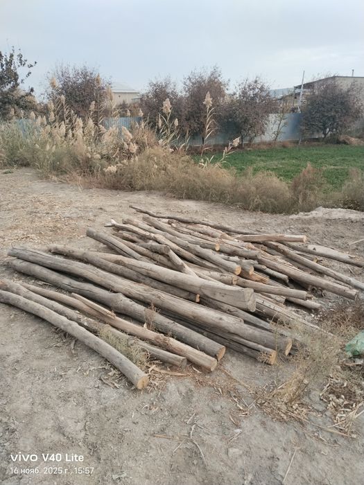 Утин тараша учун