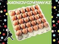 Инкубационные яйца бройлера ОПТОМ свежие ИЯ11