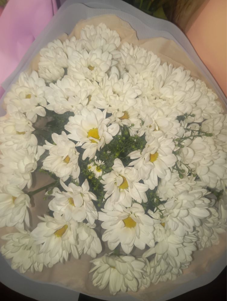 продам цветы.