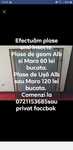 Efectuam Plase Anti Insecte Iasi