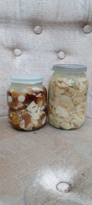 Продам соленые грибы