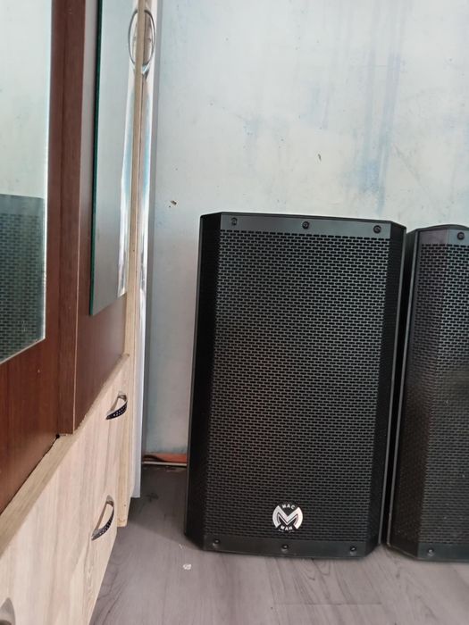 Boxă activă profesională