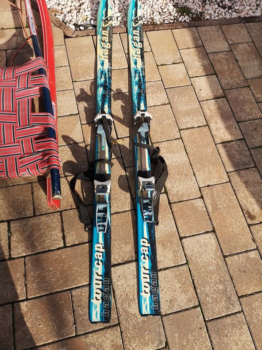 Sanie  competiție EBNER