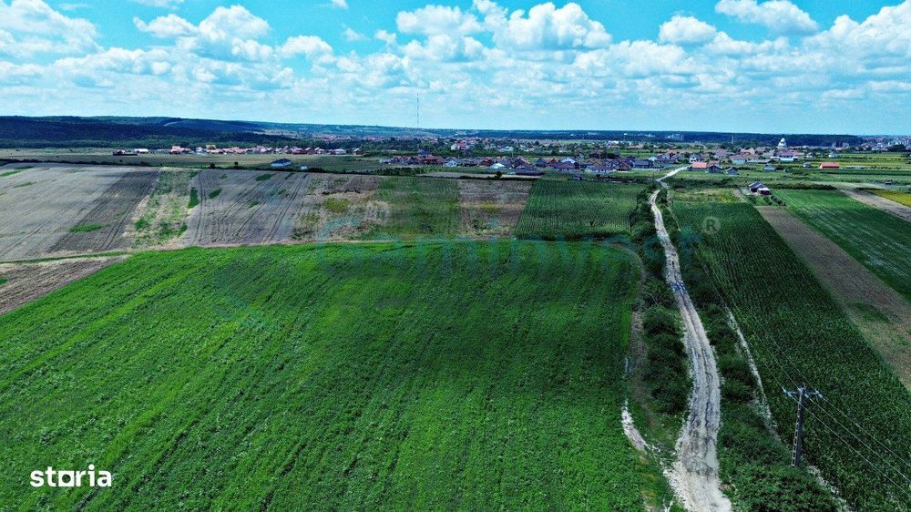 Gaminvest-Teren de vanzare, Rontau, Bihor V3726