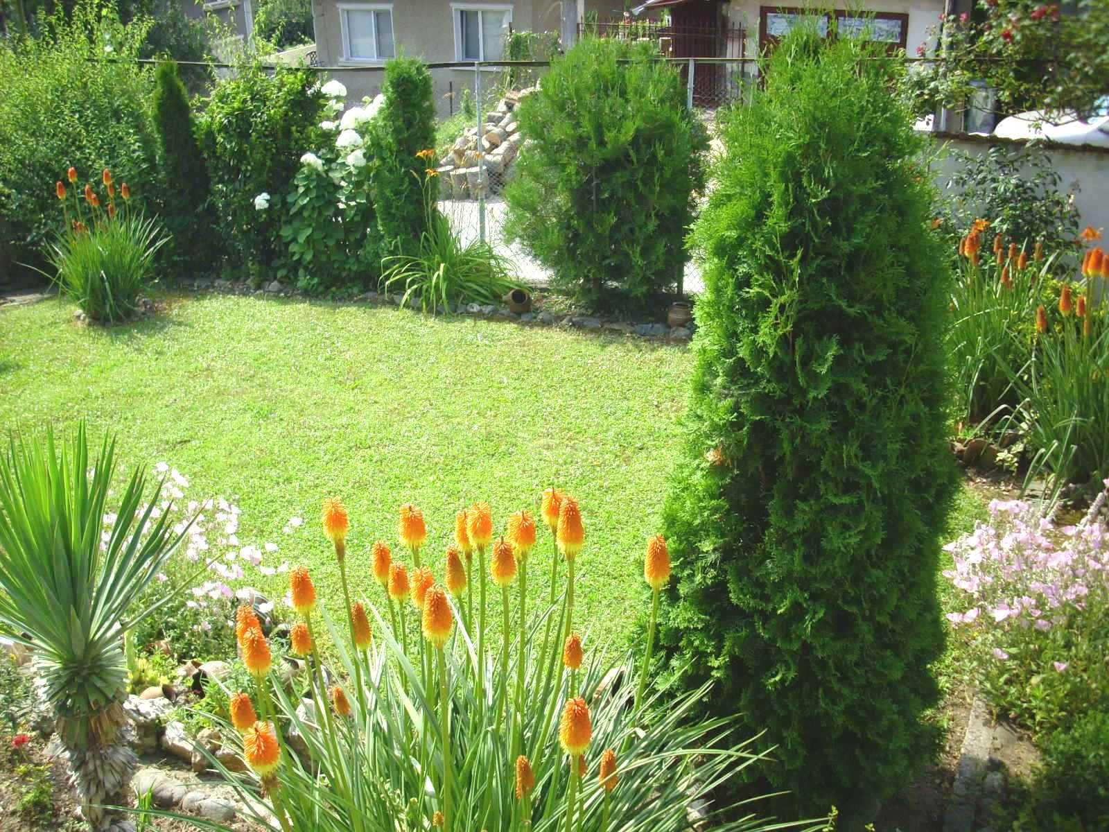 Продавам две къщи с двор в гр. Берковица