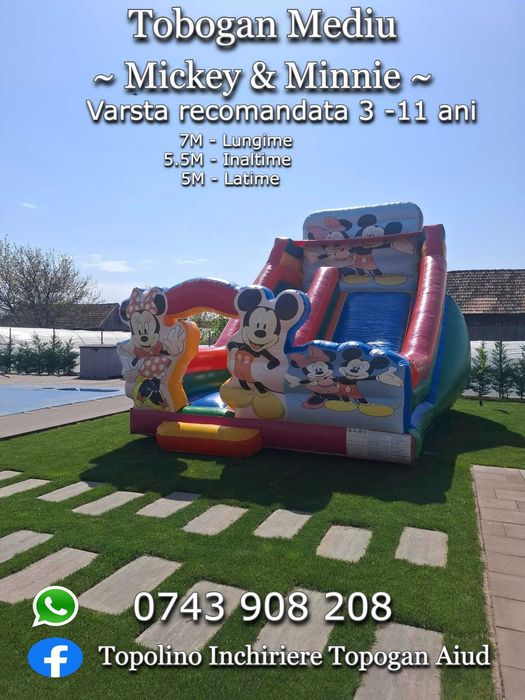 Tobogane  Gonflabile pentru diferite evenimente