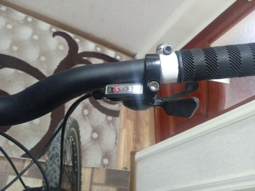 German velosiped arzon narxda
