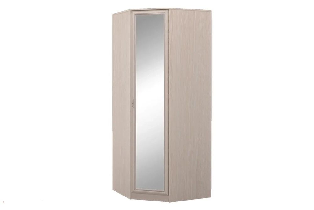 Шкаф угловой с зеркалом и плательный купе.