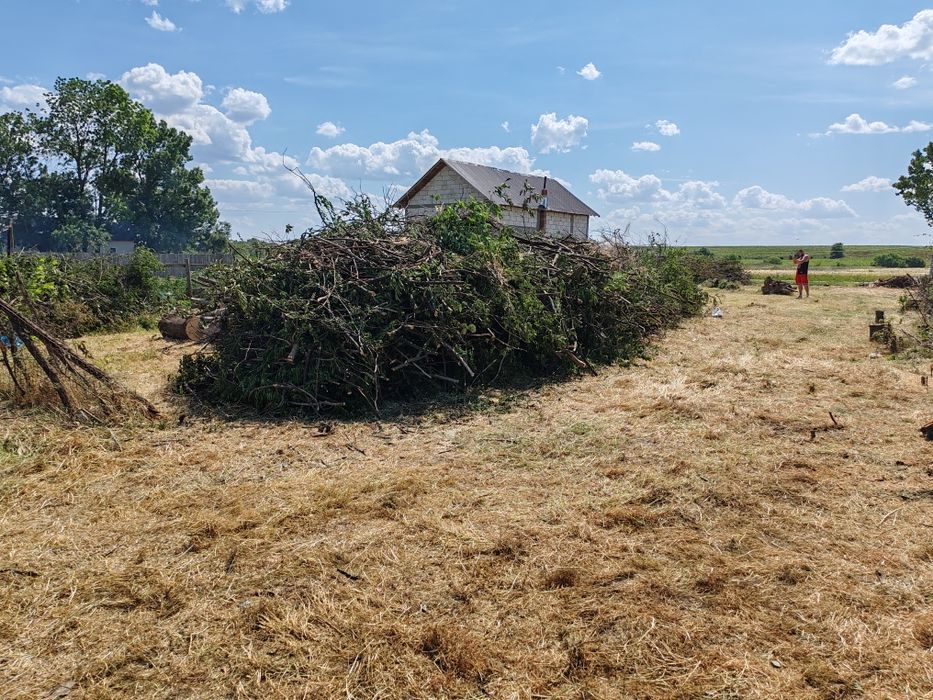 Servicii de curățare și defrișare teren de vegetație spontană... Etc.