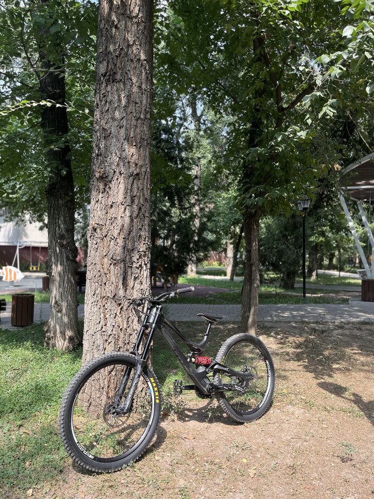 Specialized demo 8