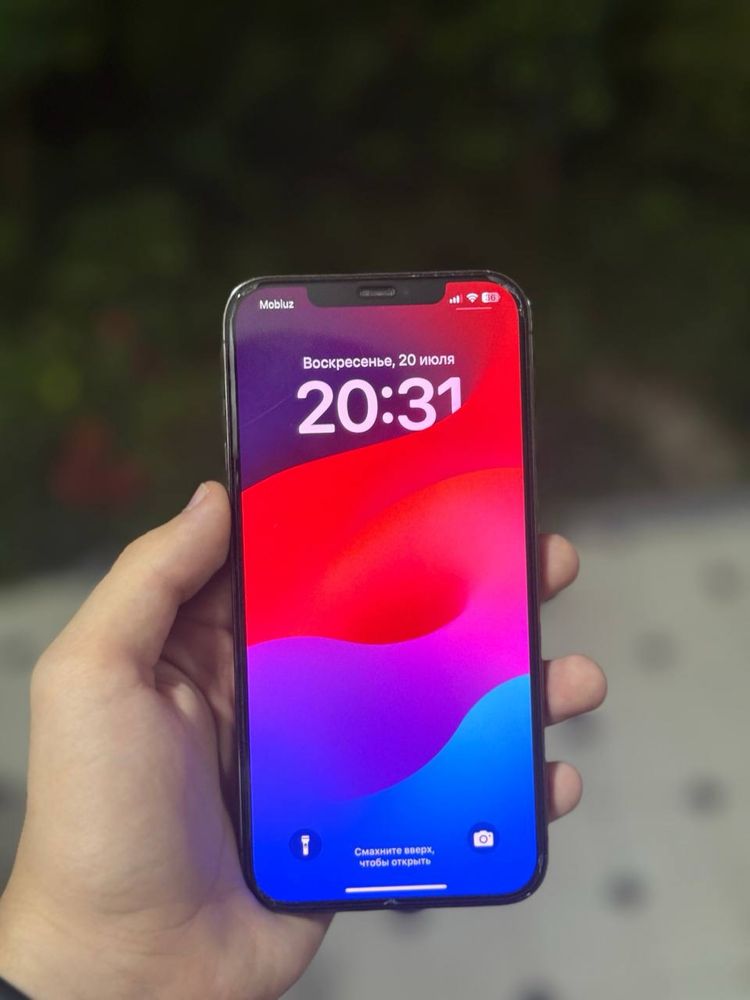 iPhone 12 pro max