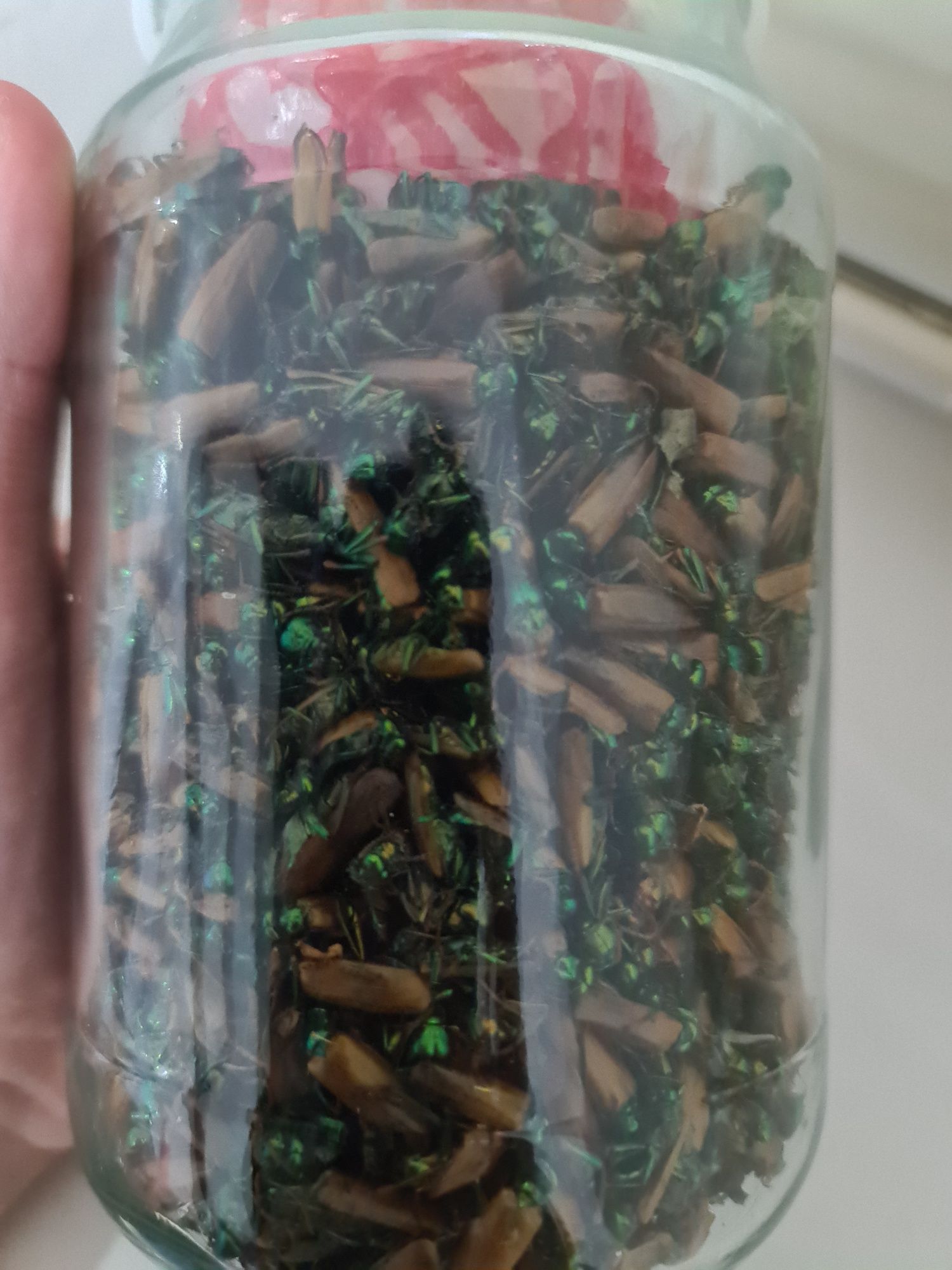 Лечение простатита Актау