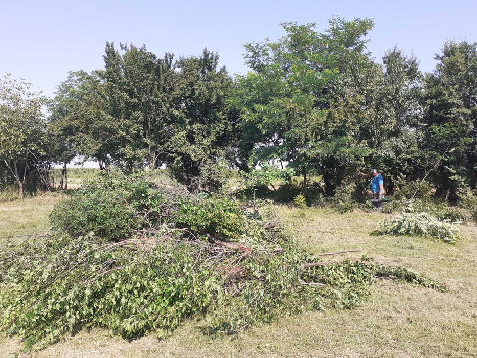 Tuns Iarba Gazon
