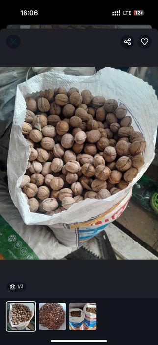 Жаңғақ бар оптом 20 қап бар апарып береміз доставка бар