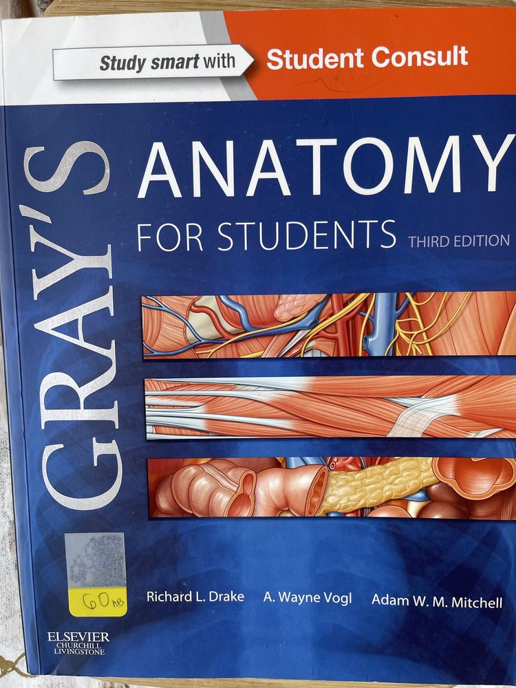 I offer medical textbooks in English. The price is on each textbook.