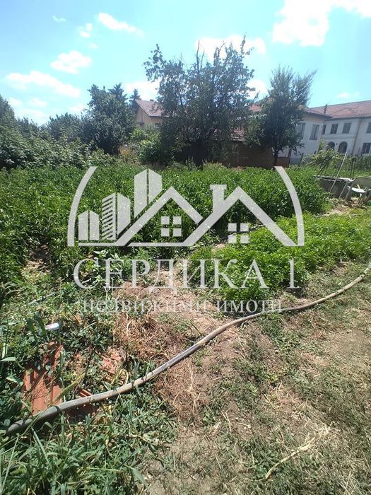 Продава се Парцел в с. Багренци, Област Кюстендил - 1311 кв.м за 21 €/кв.м - Снимка #5