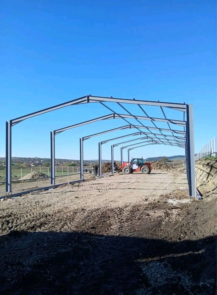 Vand structura metalica