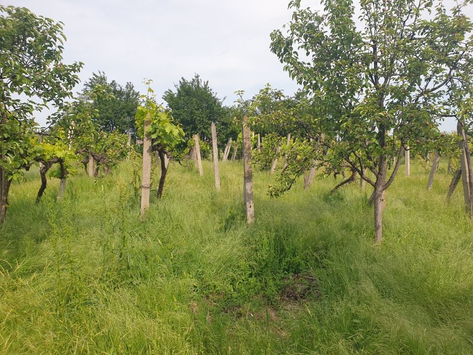 Продава се Парцел в с. Дълбок извор, Област Пловдив - 800 кв.м за 14 €/кв.м - Снимка #4