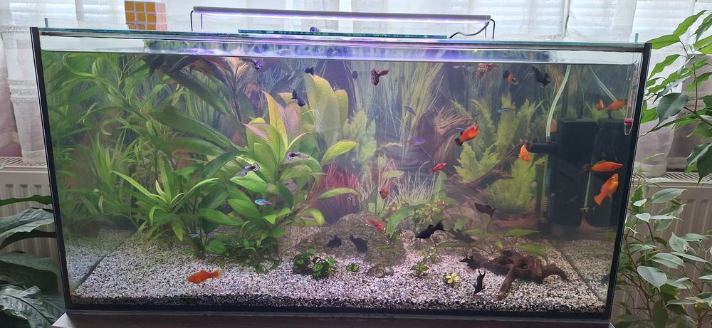 Аквариум 112л оборудван