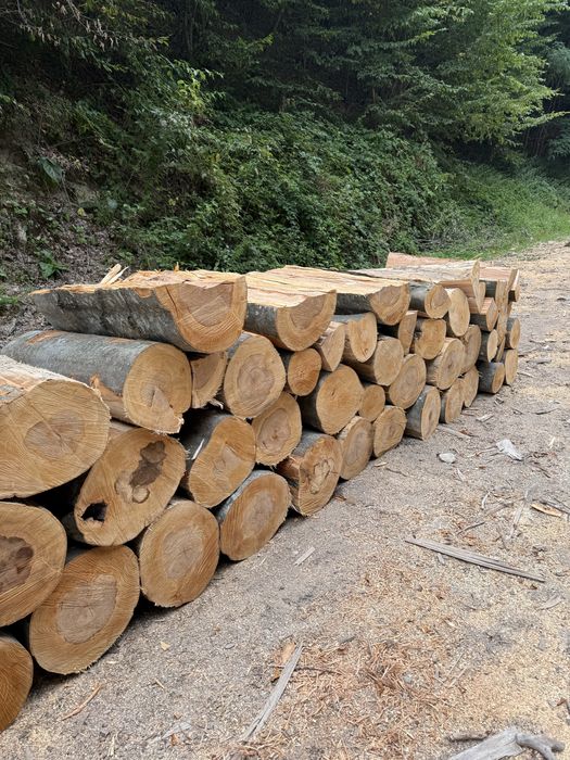 Lemne de foc esențe tarii [Fag,Gorun,Carpen]