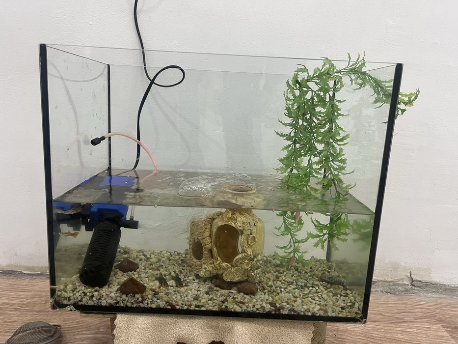 Аквариум сатылады