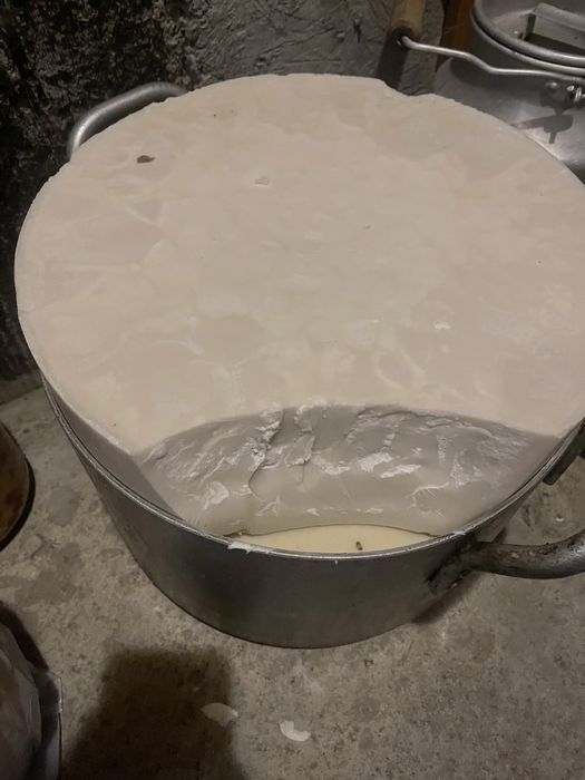 Тон май 50кг 2000т