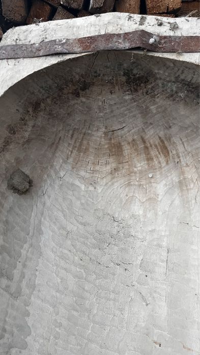 Covata foarte veche / copaie veche