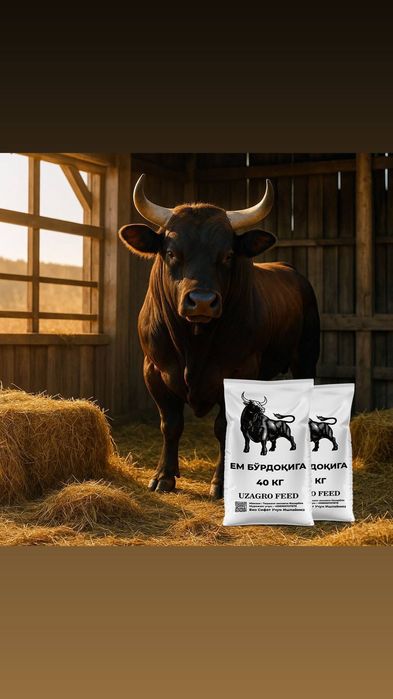 Yem Kombikorm Bo'rdoqi Buqa