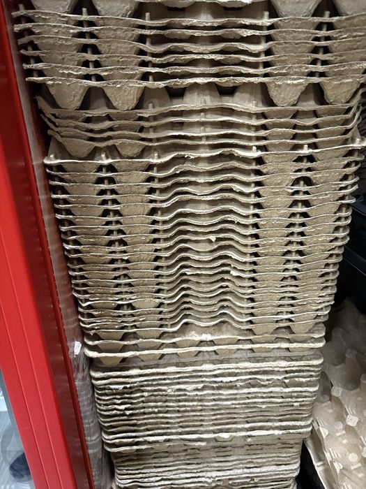 Продам латок яиц