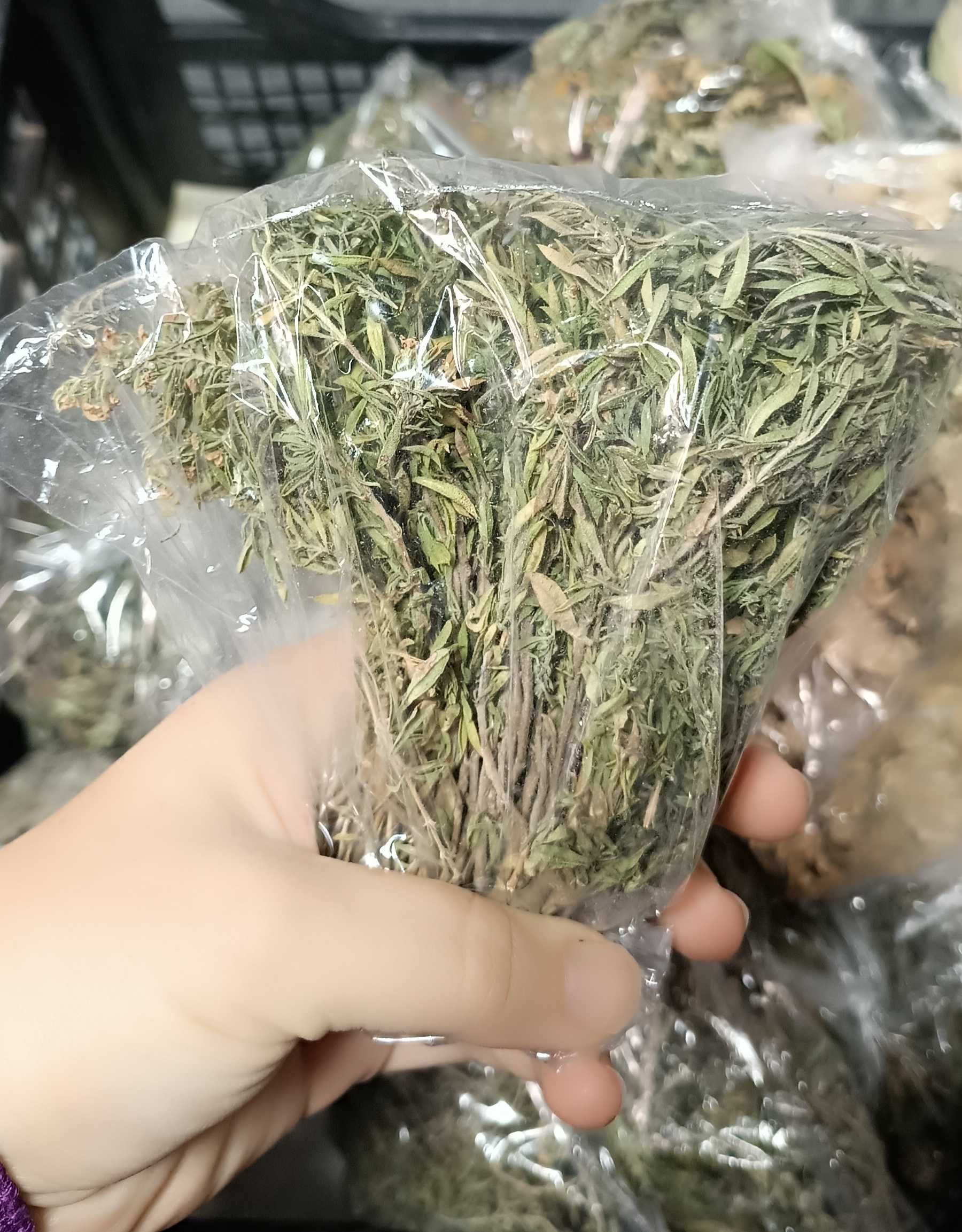 Продавам билки за чай на едро и на дребно