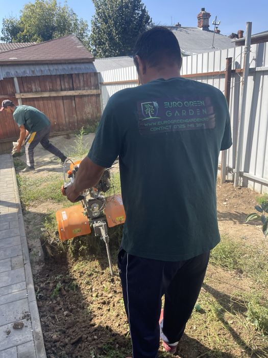 Gazon rulou si plante ornamentale