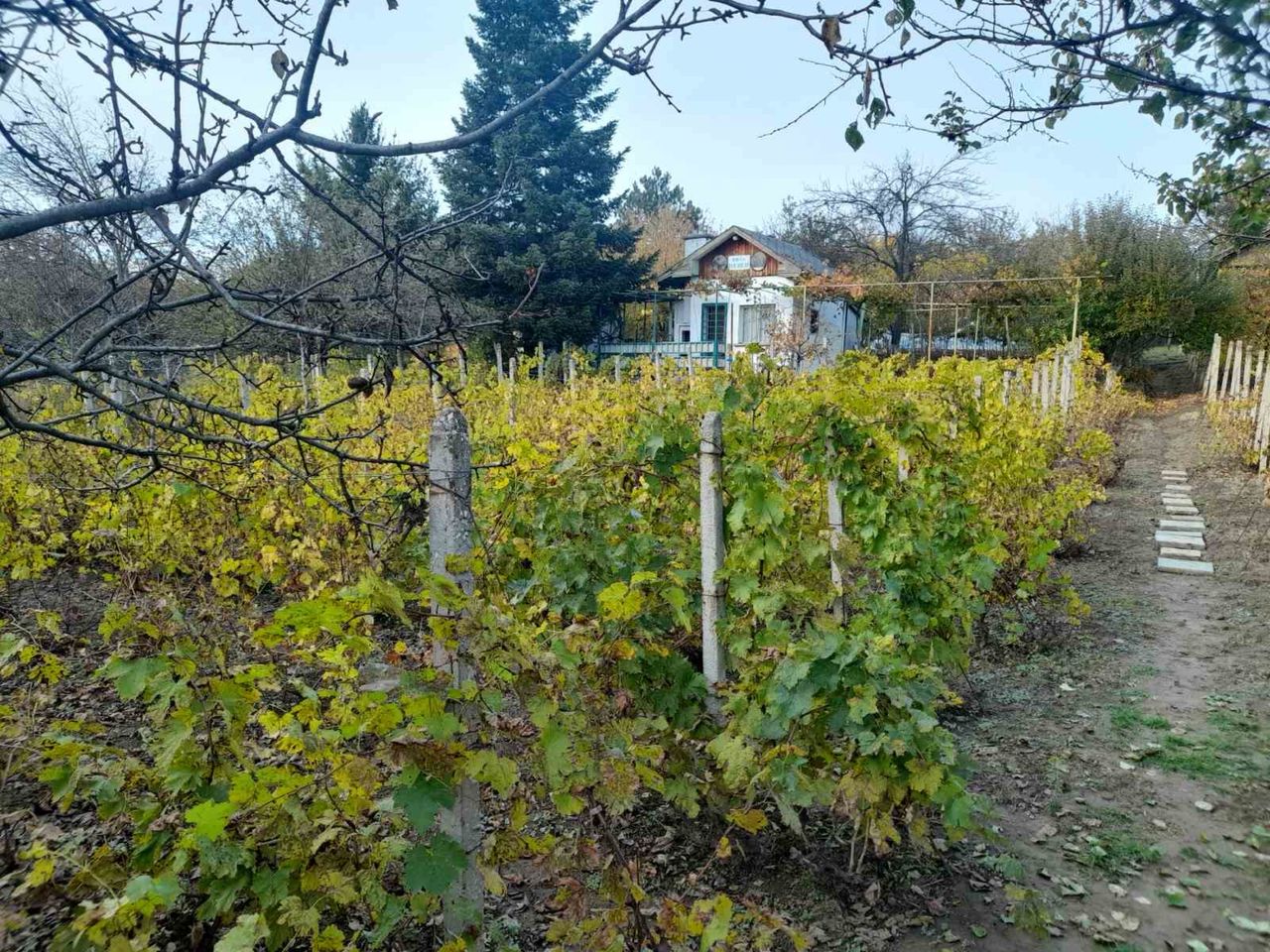 Продава се Къща в Плевен, Индустриална зона - Запад - 20 кв.м за 600 €/кв.м - Снимка #1