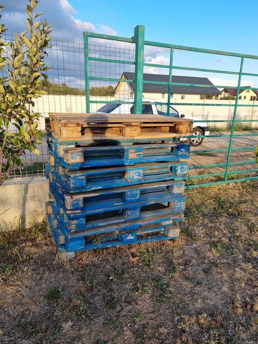 Vand paleti, euro paleti