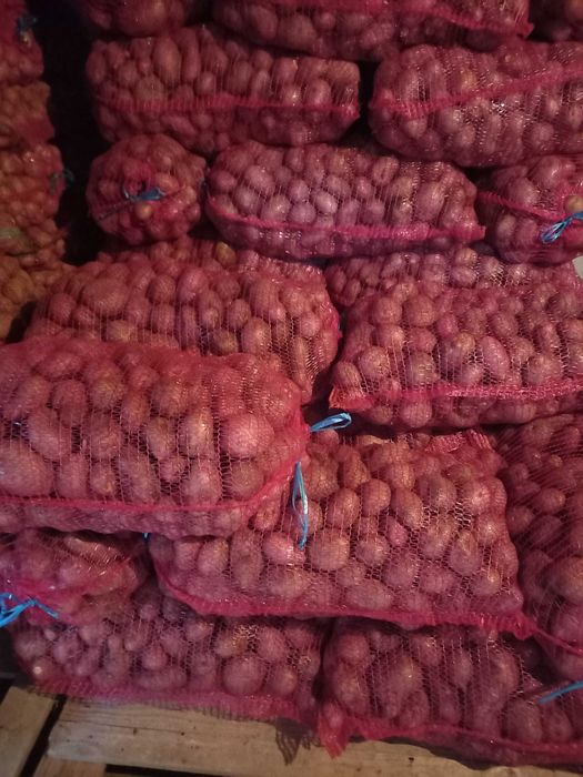 Vand cartofi cosum alb si rosu