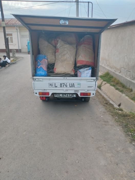 Vizif musir ob ketamz