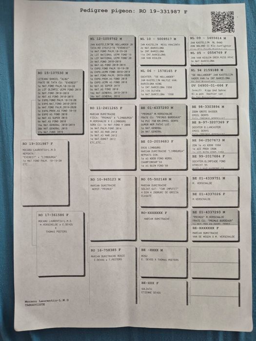 Porumbei voiajori cu pedigree
