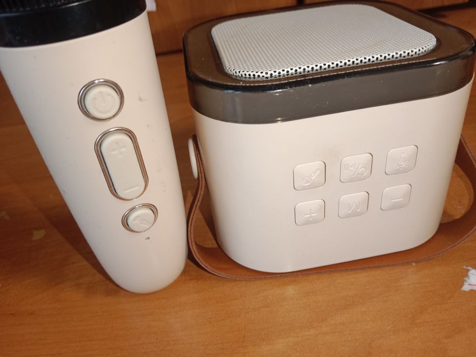 колонка с микрофоном