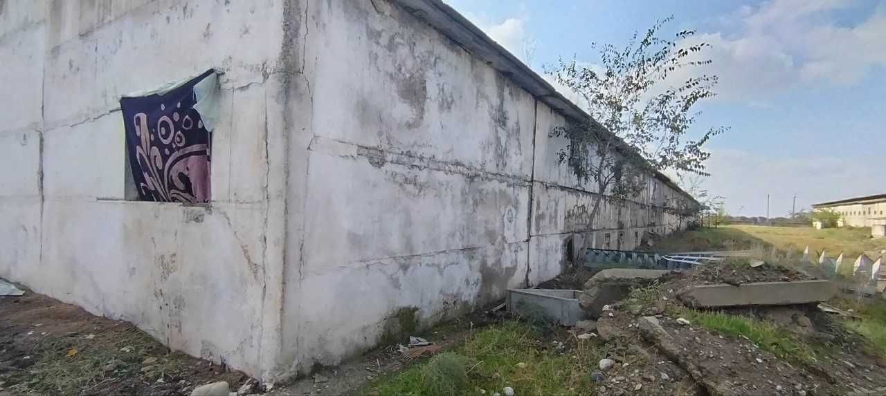 Surxondaryo viloyati Sariosiyo tumanida omborxona binosi sotilmoqda