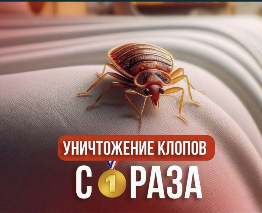 Дезинфекция Тараз