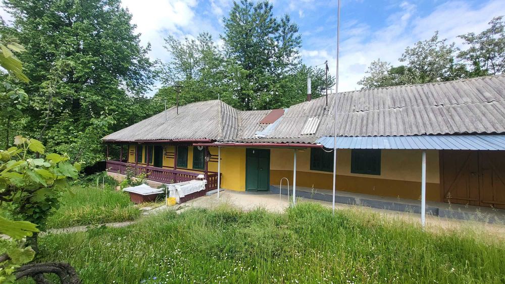 Casa la curte cu teren, livada si gradina, suprafata totala  8700m2
