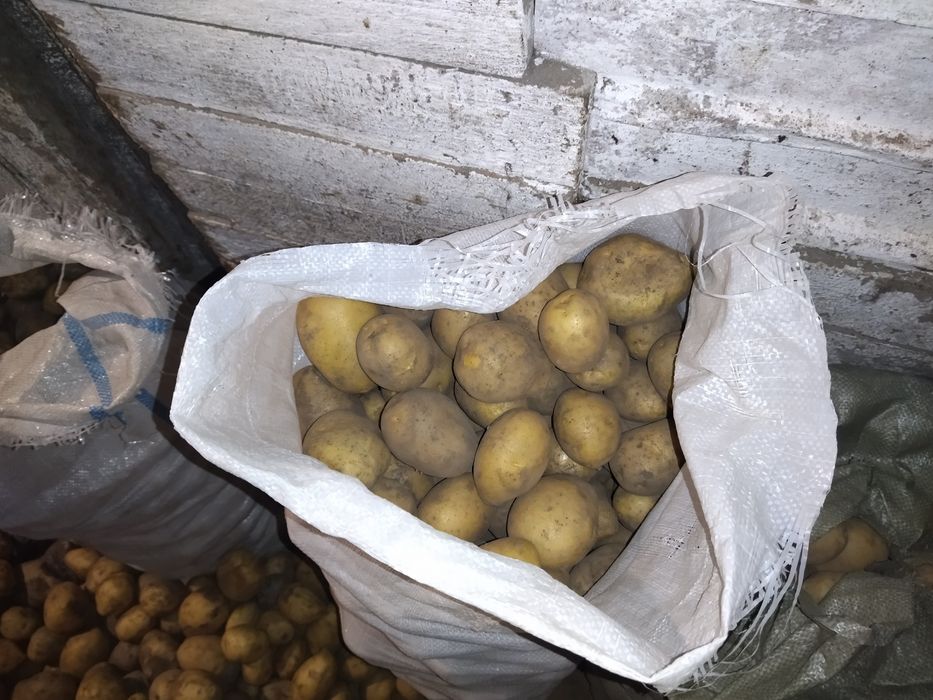 Домашняя Картошка самовывоз