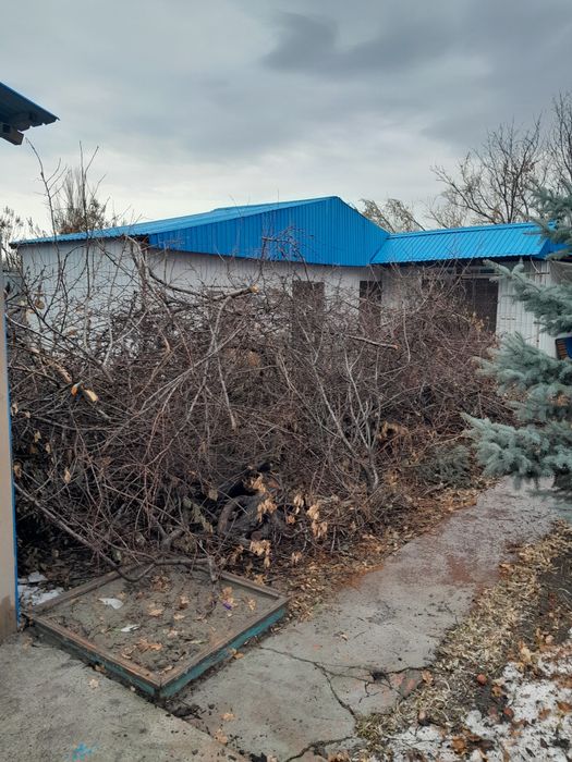 Отдам на дрова даром